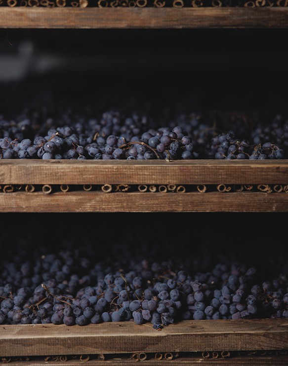MASI | Wine | Costasera Amarone della Valpolicella Classico DOCG ...