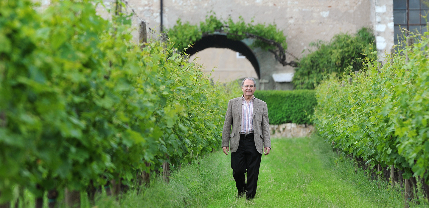 Mister Amarone: un uomo e un vino dal Veneto al mondo