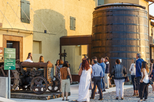 Wine Discovery Museum Masi Tenuta Canova Lazise del Garda
