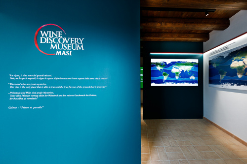 Wine Discovery Museum Masi