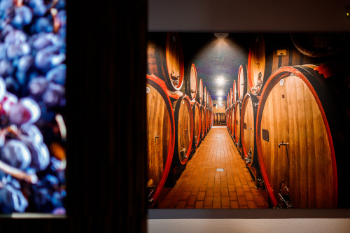 Wine Discovery Museum Masi Tenuta Canova Lazise del Garda